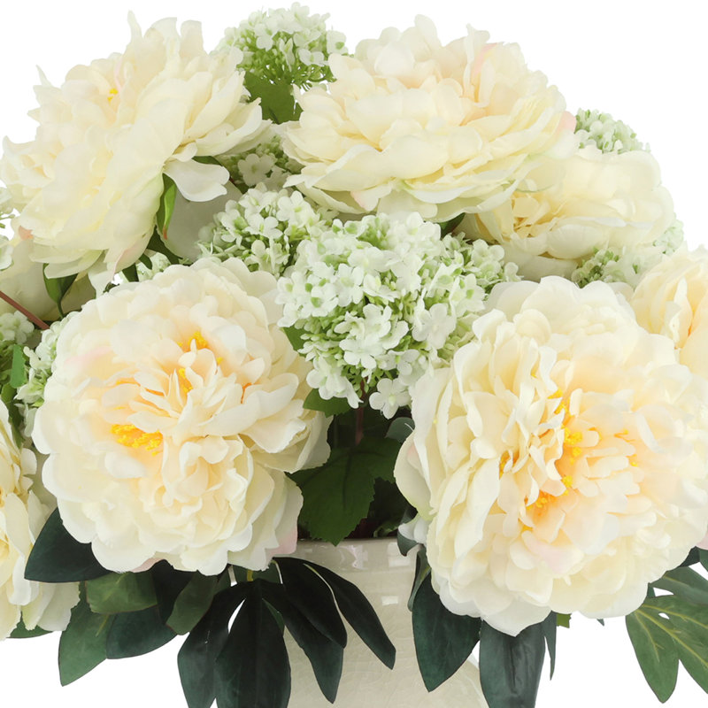 Peonies Arranged in Ceramic Vase