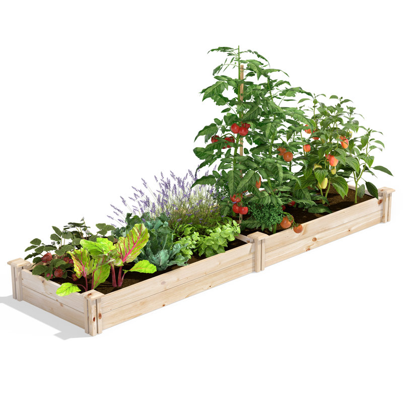Katsuyoshi Wood Raised Garden Bed, 7" H x 96" W x 24" D, Pine