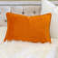 Coussin lombaire brodé citrouille-118730632