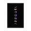 Moon Phases by Emanuela Carratoni - Floater Frame Print on Canvas-354393722-354393723