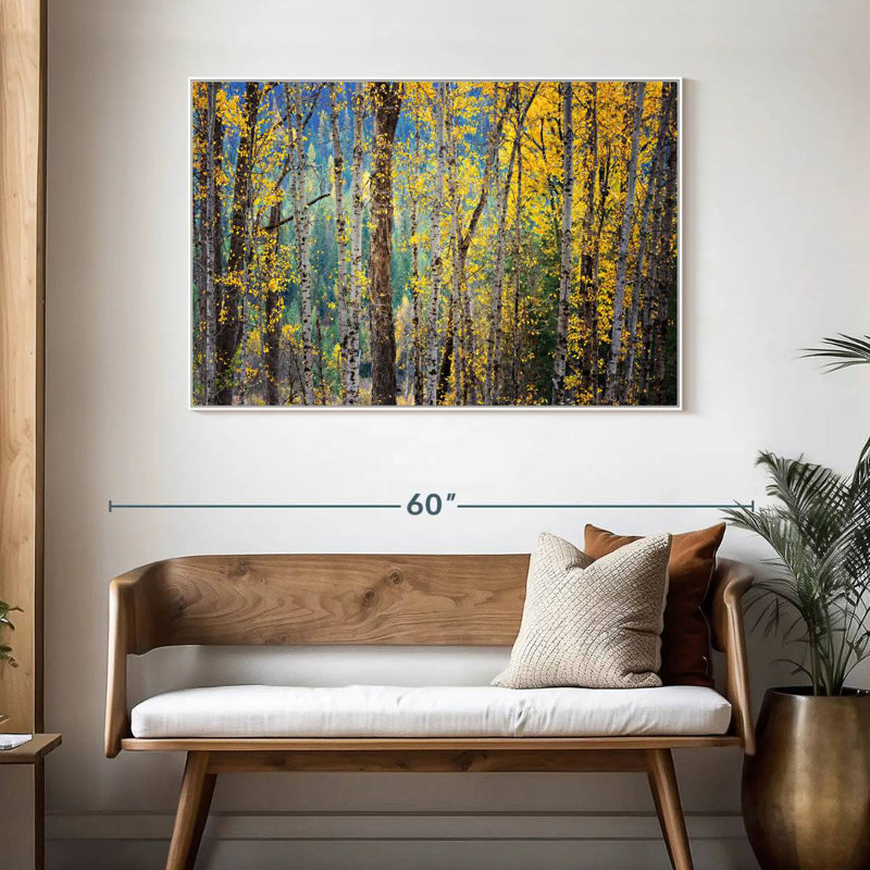 Kootenay Fall II, Cadre flottant blanc, 46 po x 31 po