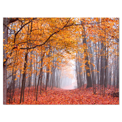 «Beautiful Trees with Fallen Leaves», reproduction de photo sur toile tendue