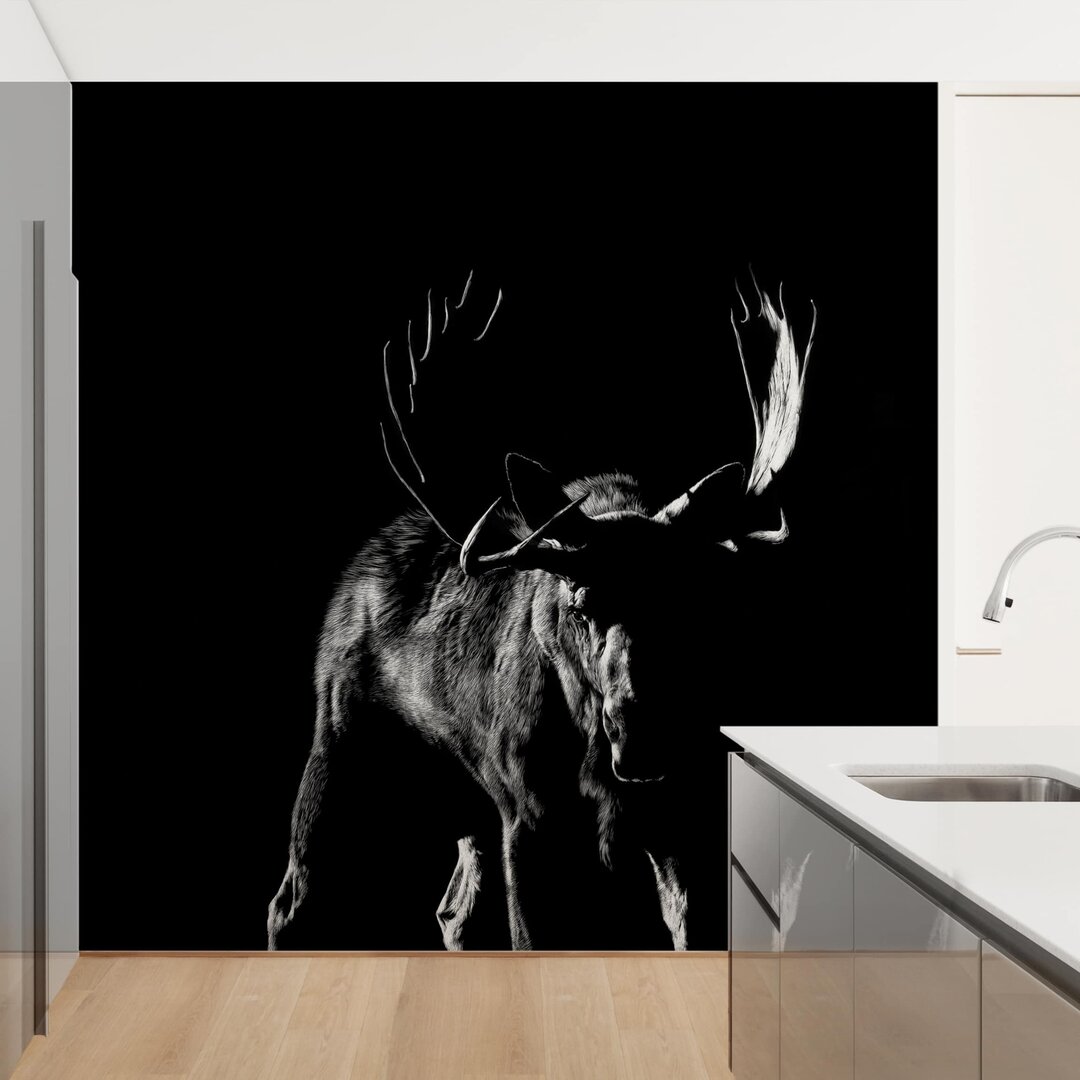 Strukturierte Fototapete Bull on Black 2,88 m x 288 cm