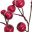 Faux Pod Spray   Set of 6   26"H   Red