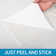 11.8" x 11.8" Shell Peel & Stick Subway Tile,Pack of 6