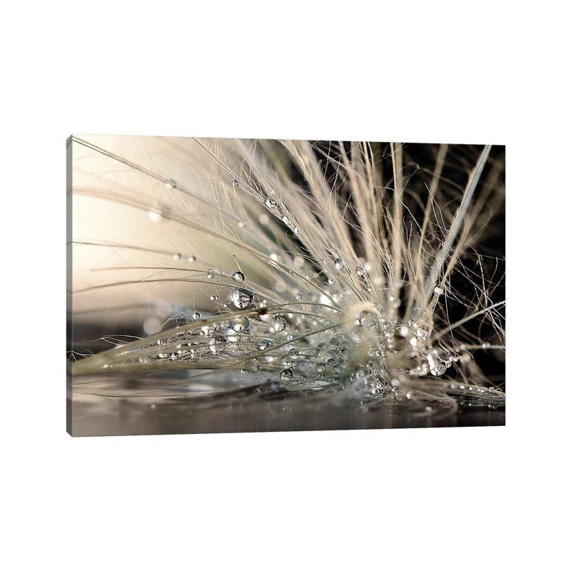 Pearls 1 Piece Wrapped Canvas Wall Art, 20.32 cm H x 30.48 cm W