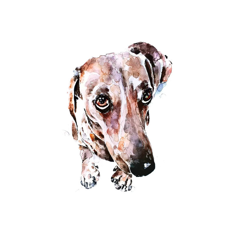 Teckel soulful Eyes par Edwatercolours-impression, H 26 po x l 18 po x 1,5 po, Toile tendue, Pas de tapis