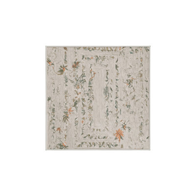 Silky Soft Plush Beige Area Rug