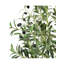 Olive Tree Artificial, with Natural Trunk & Black Pot-219855834