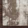 Armantine Shag Area Rug