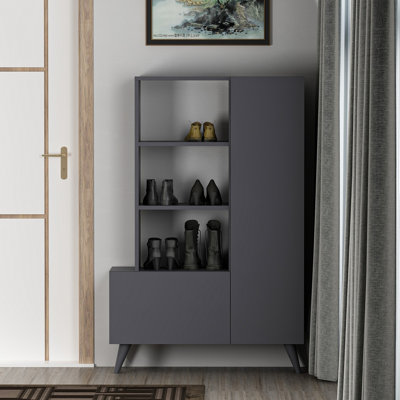 Baneen 8 Pair Shoe Storage Cabinet