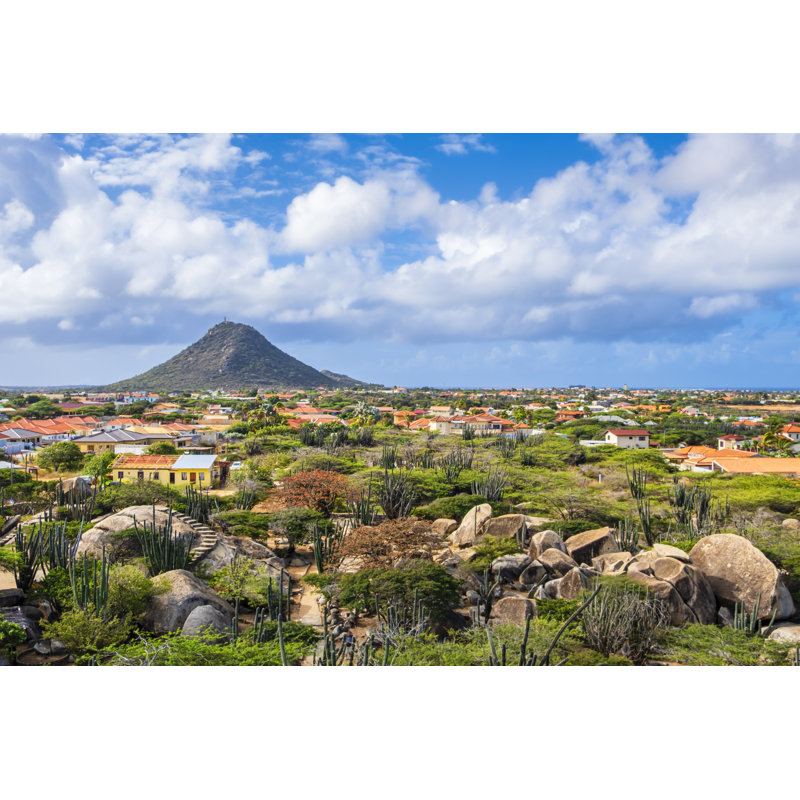 Aruba by Flavio Vallenari, 8" H x 12" W