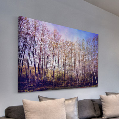 " Forest Of Trees " by Sylvia Cook