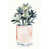 Toile tendue