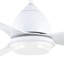 Aviya 132cm Ceiling Fan with LED Lights