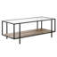 Table basse avec rangement Halesworth-2132648092