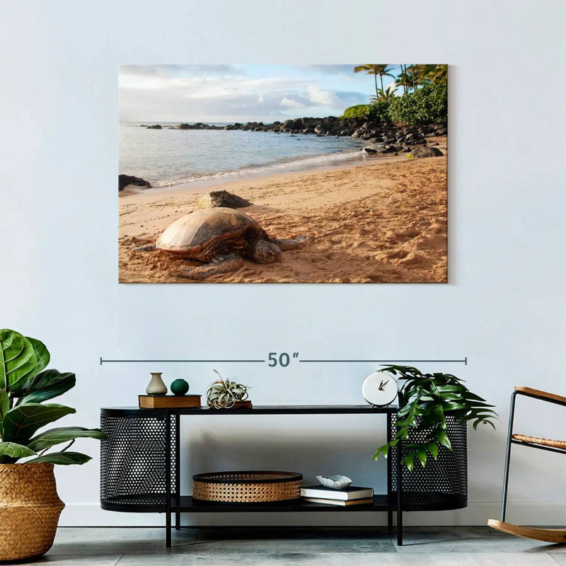 Turtle Beach, 30" H x 45" W