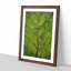 Leaf Lines - Framed Print-56852662-56852665