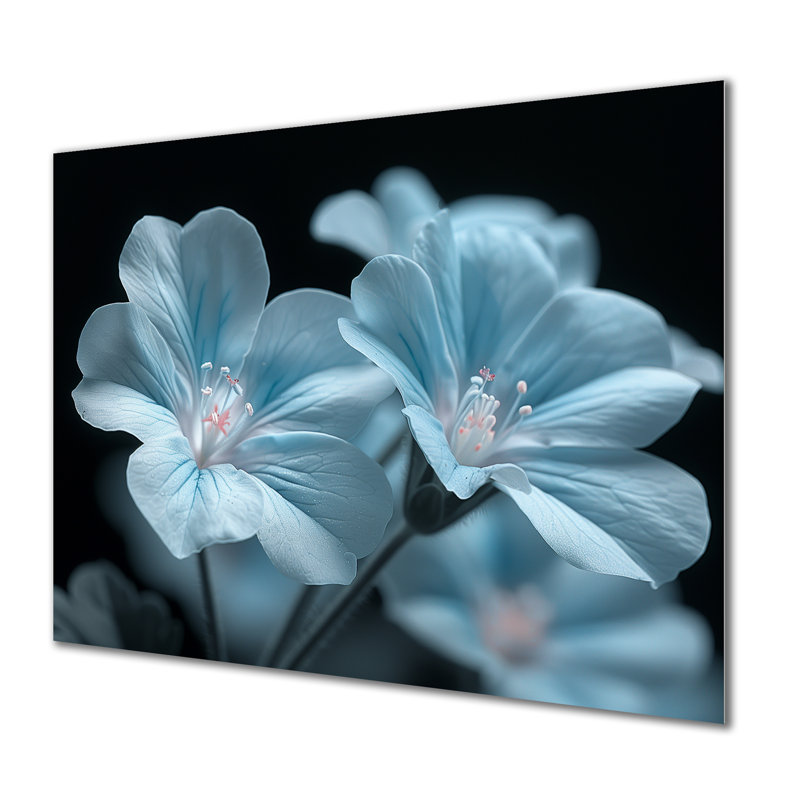 Photo romantique de géraniums noirs et bleus - Art mural géraniums, H 30 po x l 40 po, Sans cadre, métal