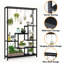 Altonya Plant Stand-186929078
