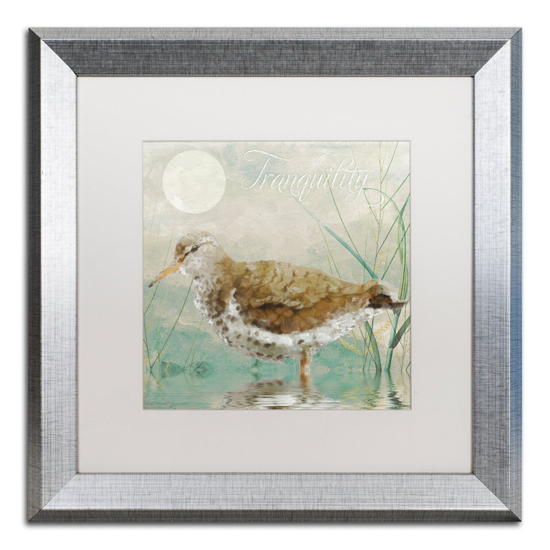 «Sand Piper II» par Jadaya, impression encadrée, Blanc, H 16 po x l 16 po x P 0,5 po
