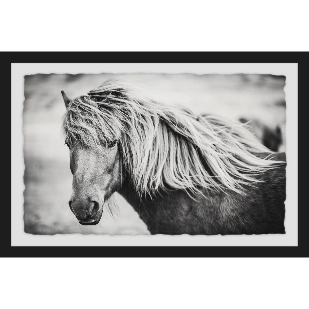 Beautiful Mane - Picture Frame Photograph Print on Paper Gracie Oaks Mat 