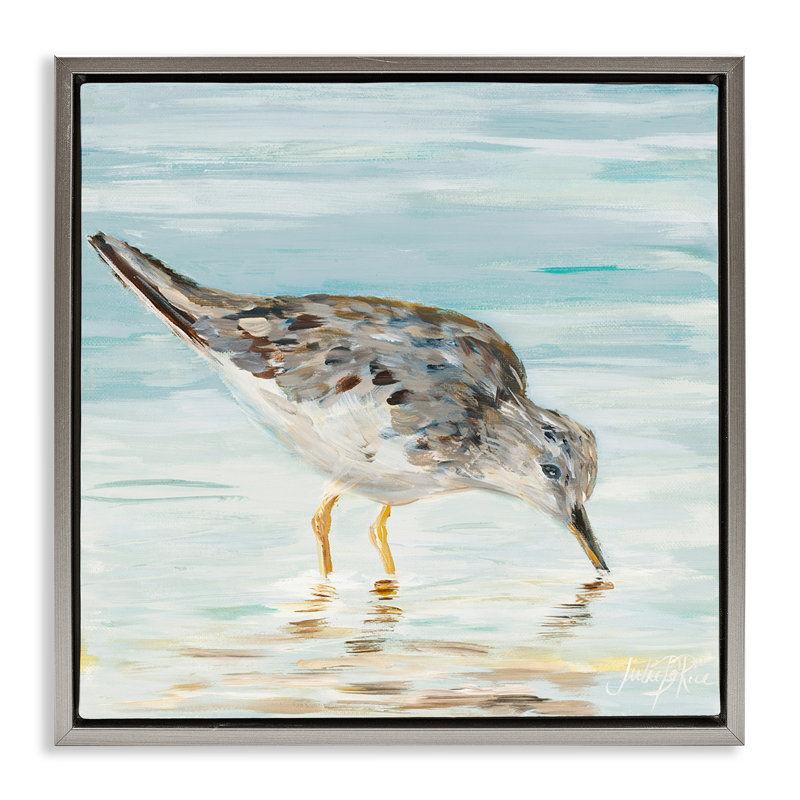 "Gray Beach Sandpiper", art mural sur toile flottante par Julie DeRice, Cadre flottant gris lustré, H 18 po x l 18 po