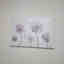 Photos des clients 1 de 1