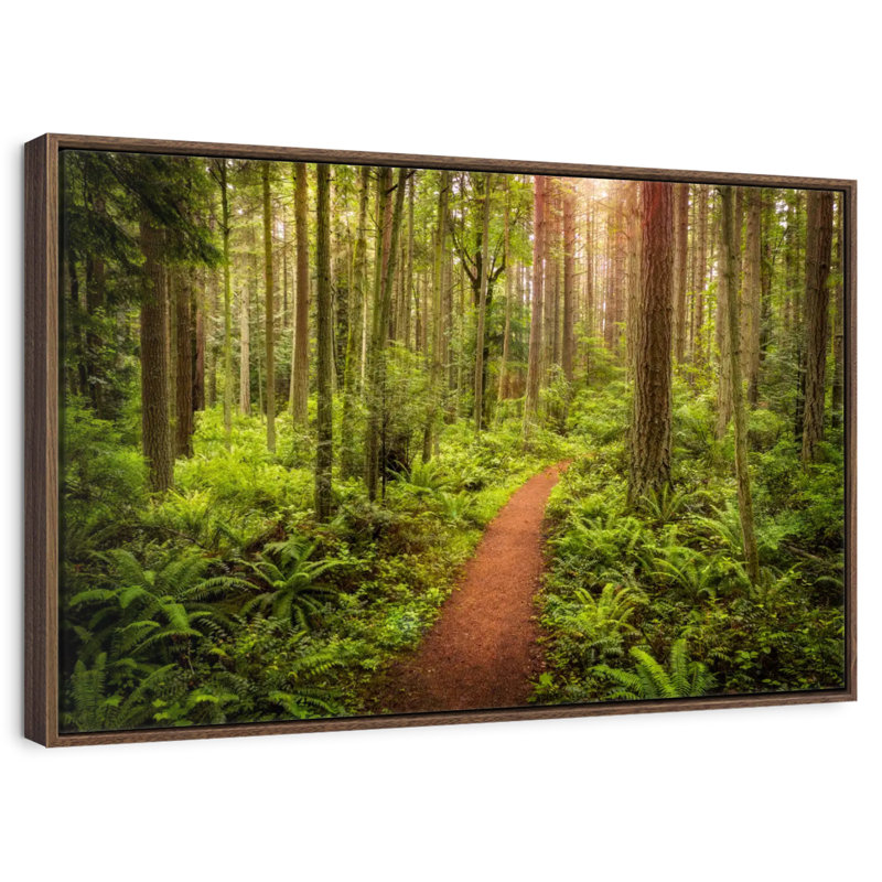 Washington Rainforest, 19 po x 13 po, Cadre flottant en noyer