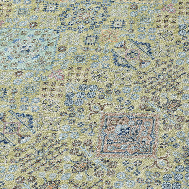 Machine Washable Indoor/Outdoor Chantille ACN2440 Traditional Rug, Aloe, 2'6" x 3'10"