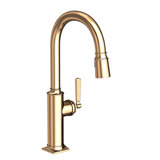 Adams Single Handle Pull Down Kitchen Faucet