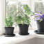 Pot Planter-1156915637-1156915638