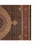 Wool Oriental Area Rug