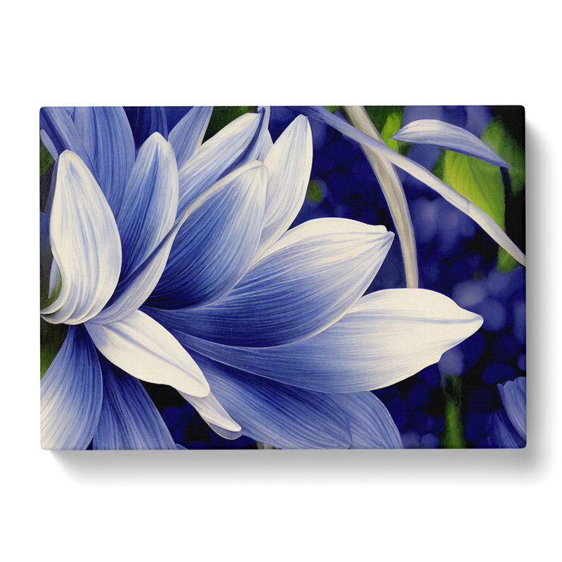 A Wild Flower - Wrapped Canvas, 50cm H x 76cm W x 3cm D