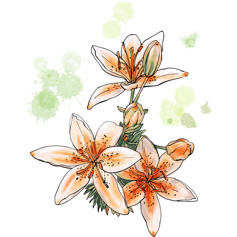 «Adelen Tiger Lily», impression sur toile, H 30 po x l 20 po