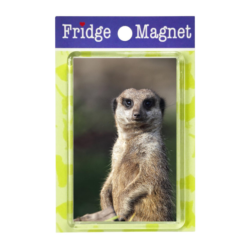 Fridge Magnet