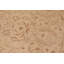 Laine beige oriental noué à la main 10 pi x 13 pi Dorn