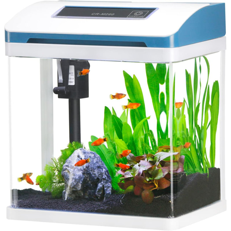 Aquarium en verre 2 gallons Taniusa