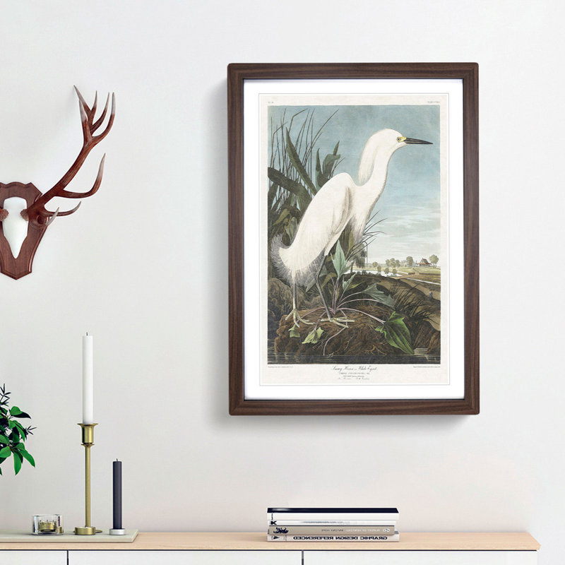 Snowy Heron by John Audubon - Picture Frame Painting Print on MDF, Walnut Framed, 65cm H x 48cm W x 2cm D