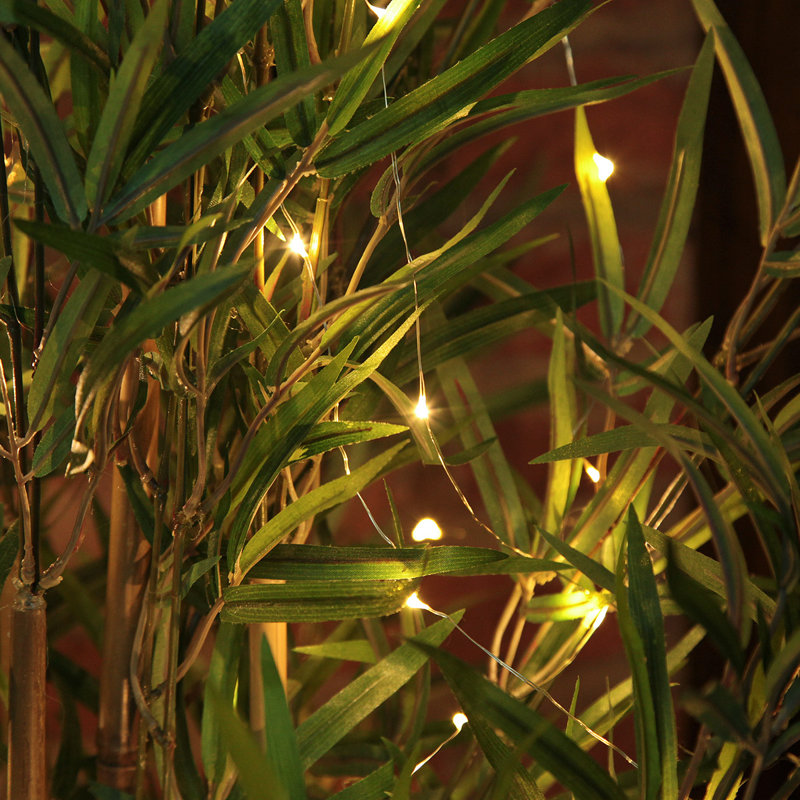 String Lights