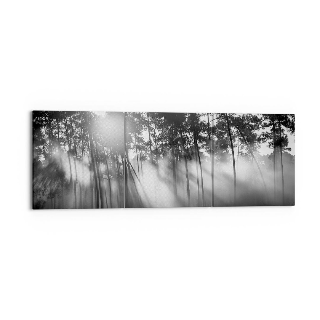 3-tlg. Leinwandbilder-Set Forest Pine Sun