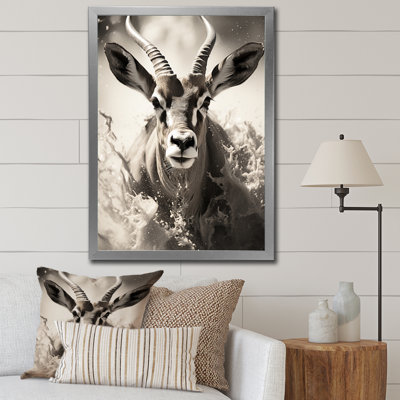 Keao " Africa Antelopes Graceful Leap "