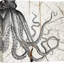 Art nautique, animaux nautiques, pieuvre, vie nautique, impression sur toile-56420095