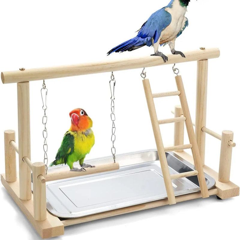 5 Bird