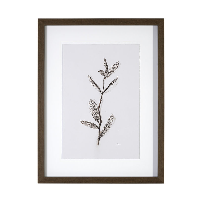 Olive Branch par Gabrielle, reproduction d'art encadrée sous verre, Olive Branch I