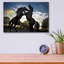 «Stallions» par SD Smart-1090704248
