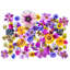 «Love Is a Many Splendored Thing» par Harold Davis - impression-71199068-71199069
