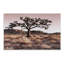 « joshua tree », impression-59984334-59987234