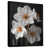 Black Floater Framed