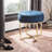Skye Velvet Ottoman-26273473